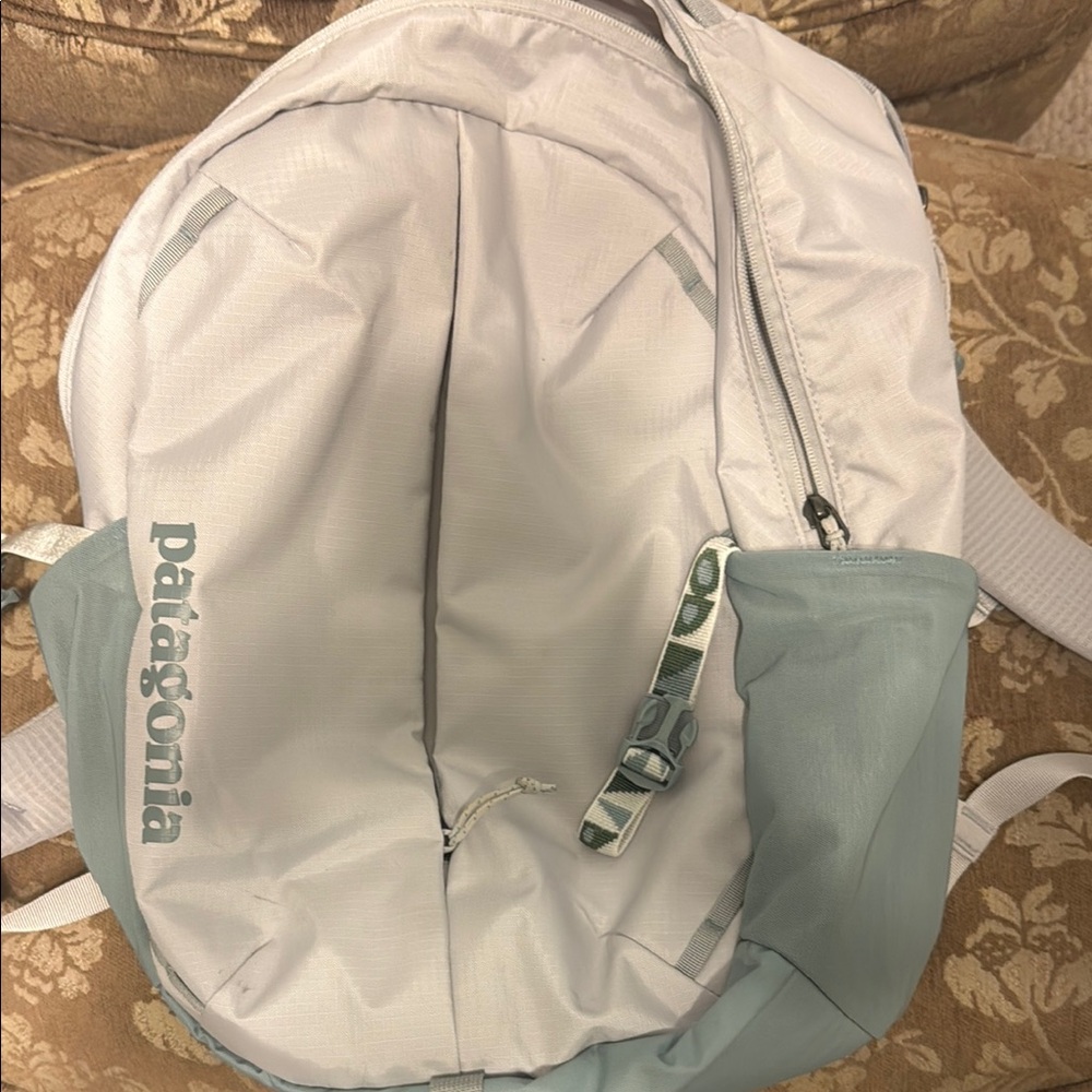 Patagonia White and Gray Backpack with Roomy Design